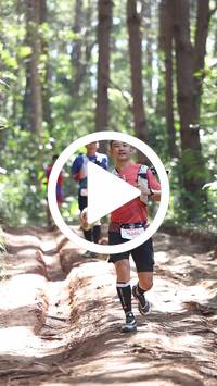 BIB:  <button type="button" onclick="openModal(26569377)" class="btn btn-primary btn-sm float-right" data-toggle="modal" data-target=".modal-high-quality">
                <i class="fa fa-download"></i> Download
                </button>